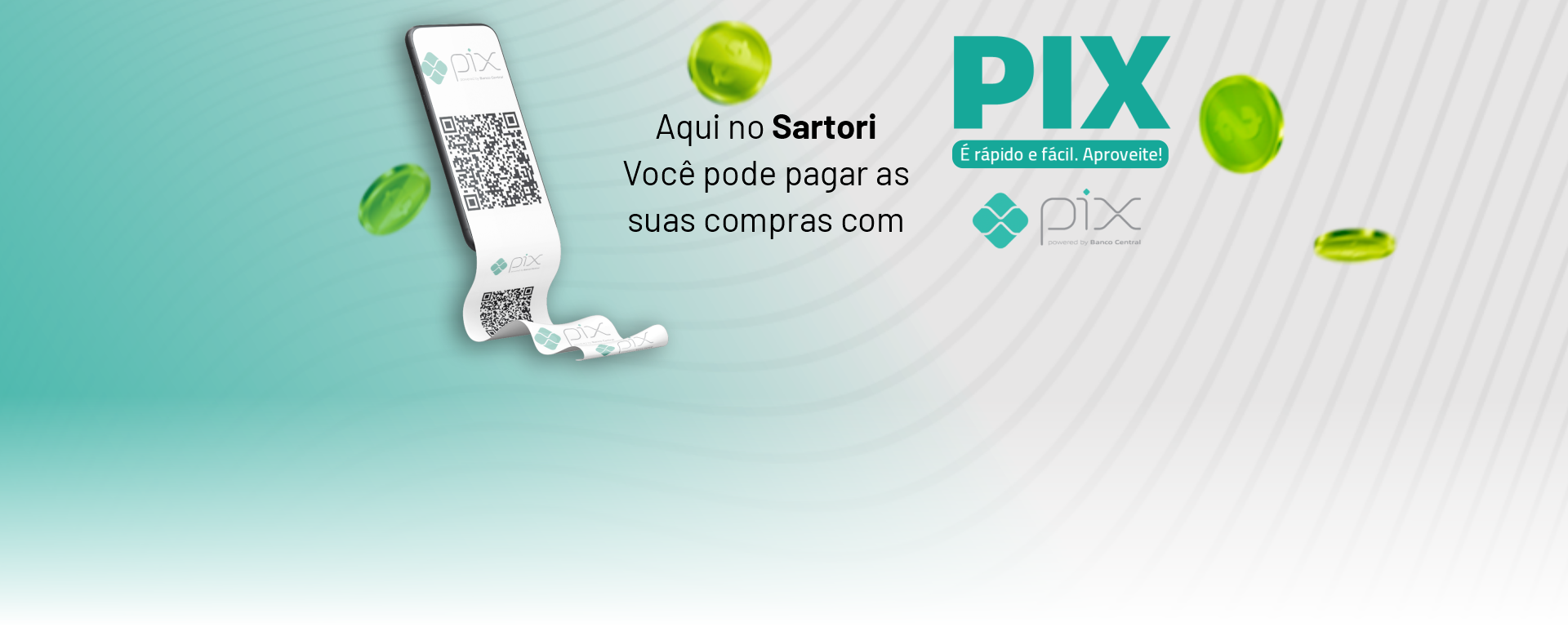 Banner Site Sartori Pix 2